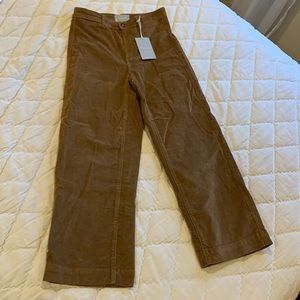 NWT Everlane Straight Leg Corduroy Pants